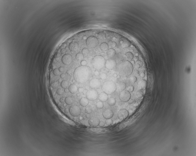 X0000116801432201001291531