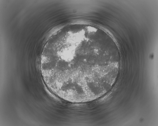 X0000116801433201001291531
