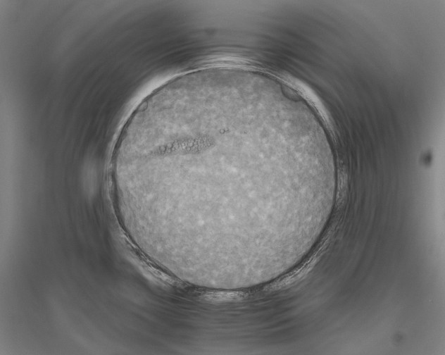 X0000116801435201001291531