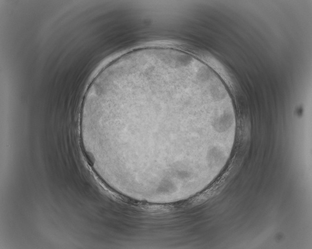 X0000116801436201001291531