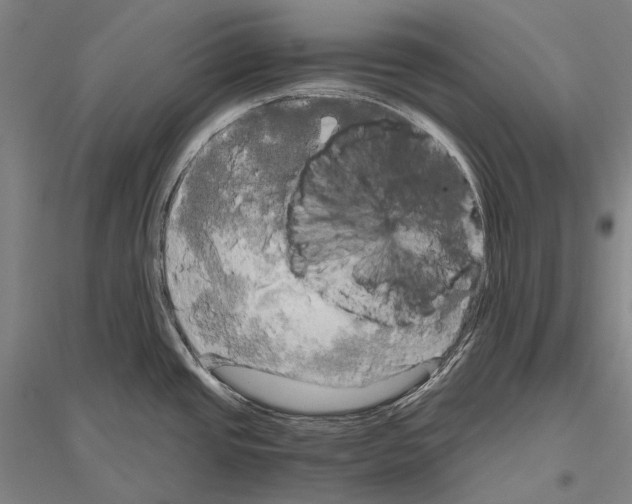 X0000116801437201001291531
