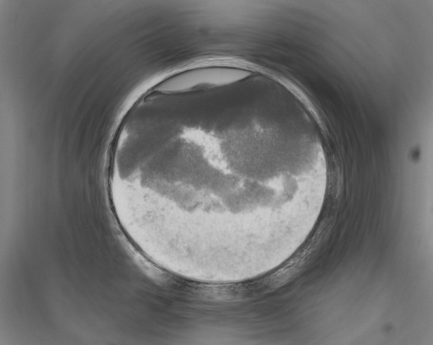 X0000116801438201001291531