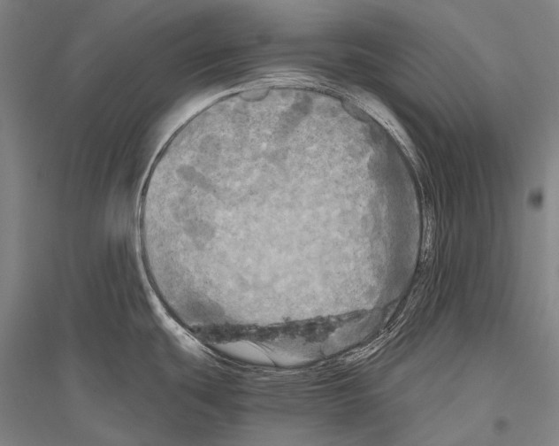 X0000116801439201001291531