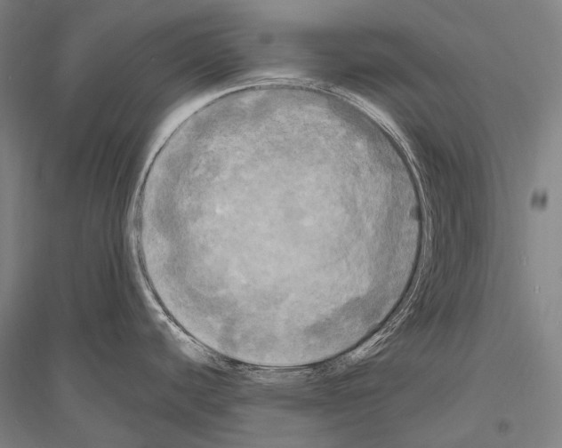 X0000116801440201001291531