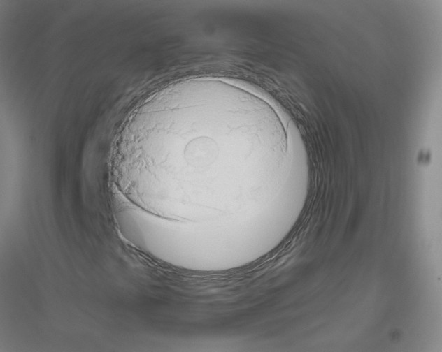 X0000116801441201001291530