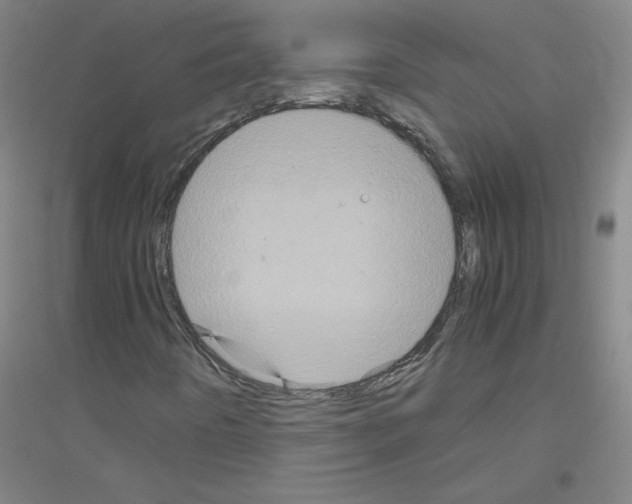 X0000116801442201001291530