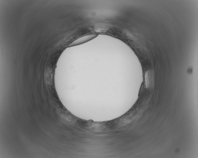 X0000116801443201001291530