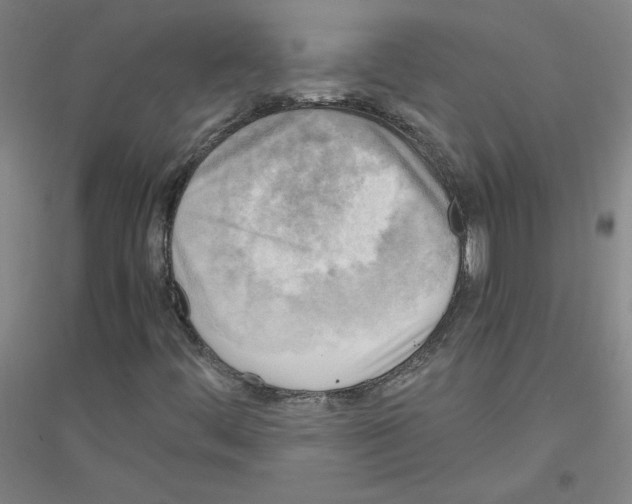 X0000116801444201001291530