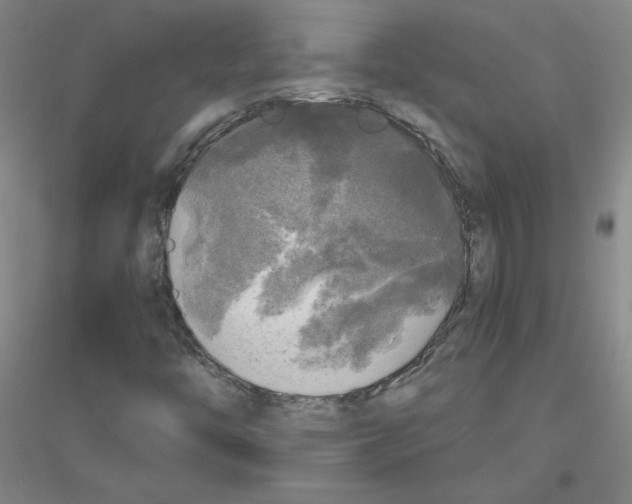 X0000116801446201001291530