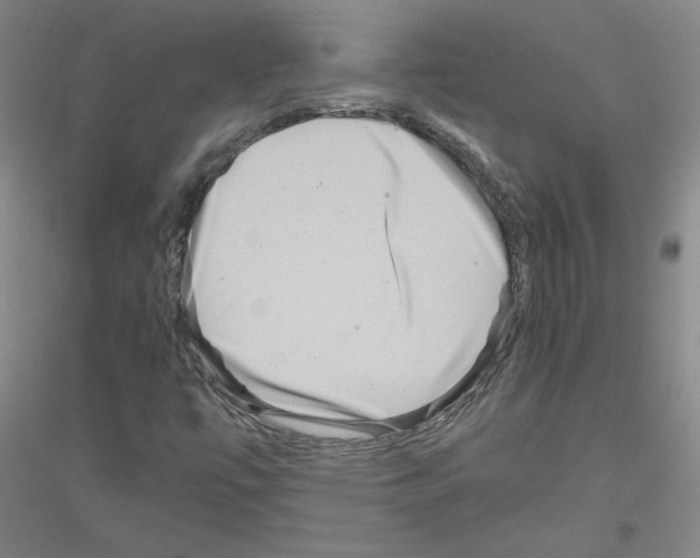 X0000116801447201001291530