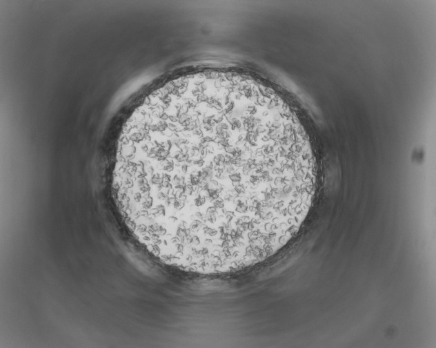 X0000116801448201001291530