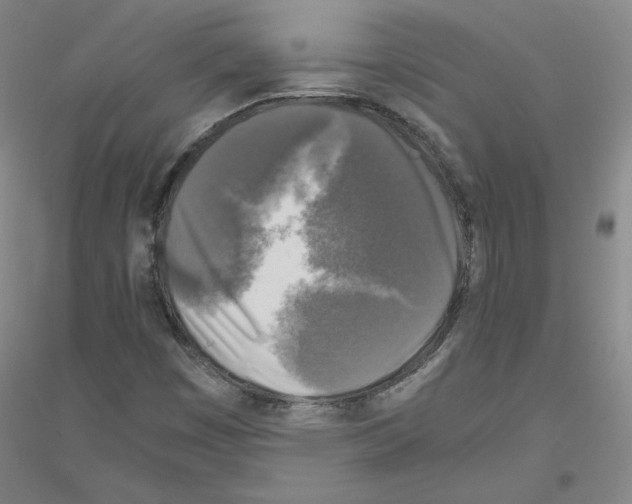 X0000116801449201001291530