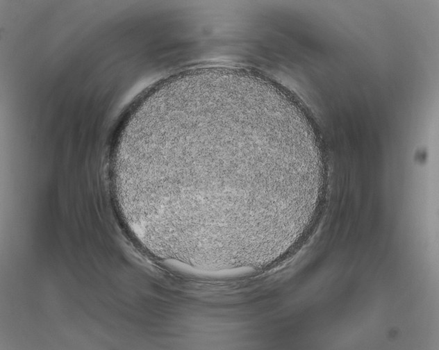 X0000116801450201001291530