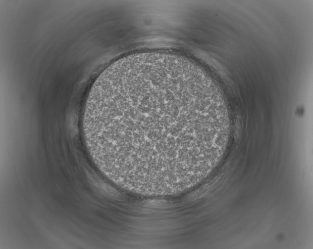 X0000116801451201001291530