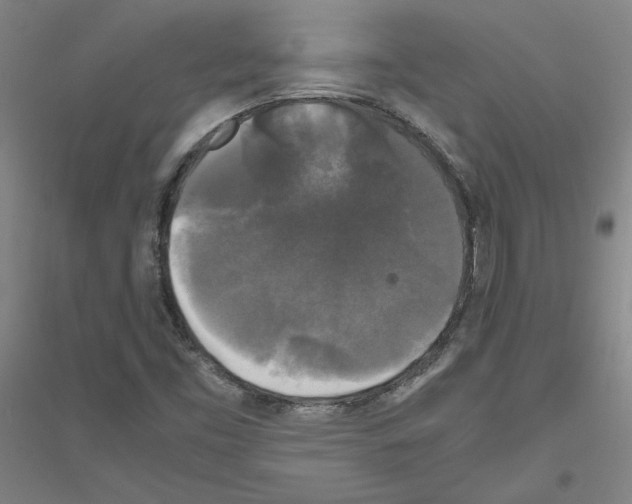 X0000116801453201001291530