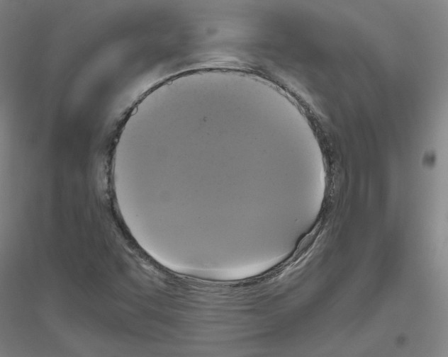X0000116801455201001291530