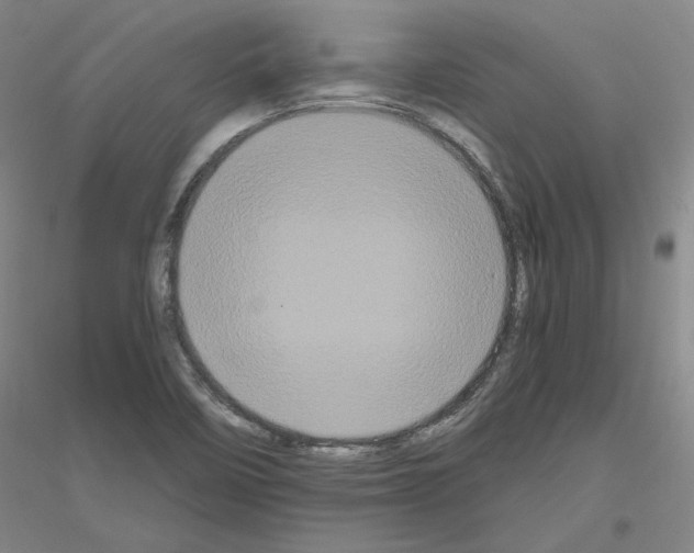 X0000116801458201001291530
