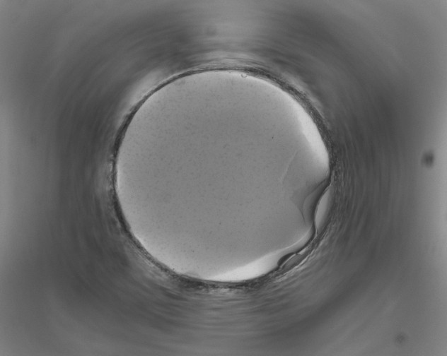X0000116801459201001291530