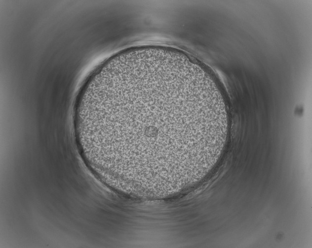 X0000116801464201001291530