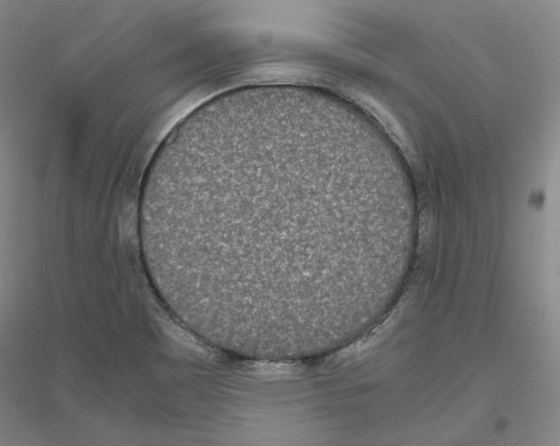 X0000116801465201001291530