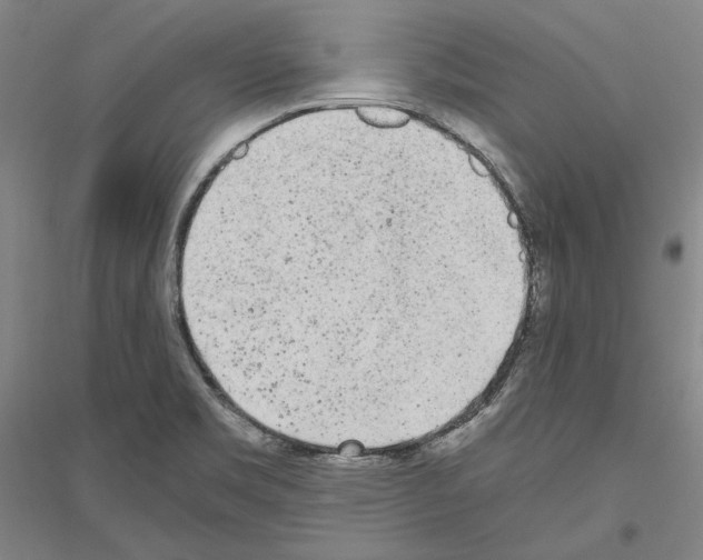 X0000116801469201001291530