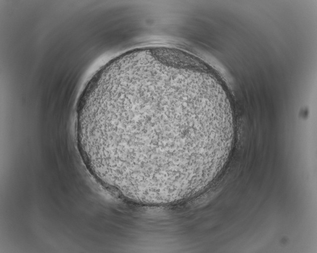 X0000116801472201001291530