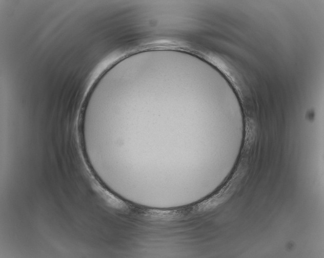 X0000116801474201001291530