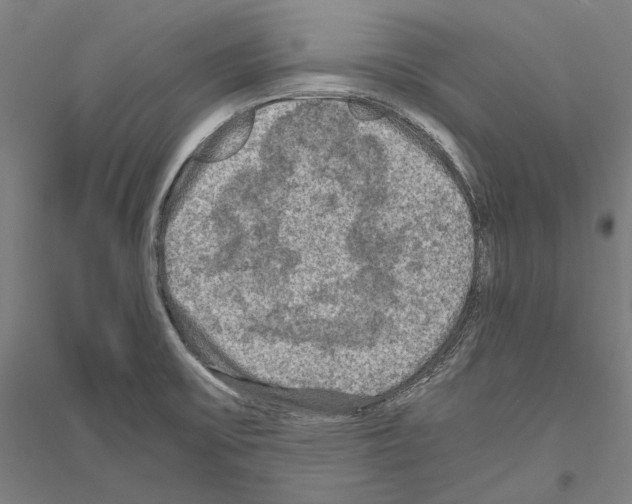 X0000116801475201001291530