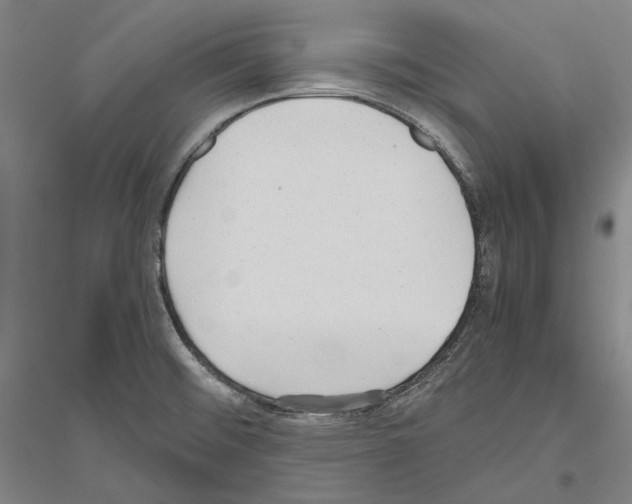 X0000116801476201001291530