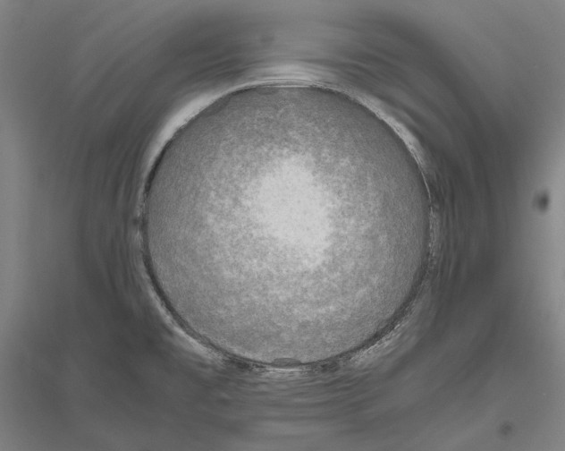 X0000116801477201001291529