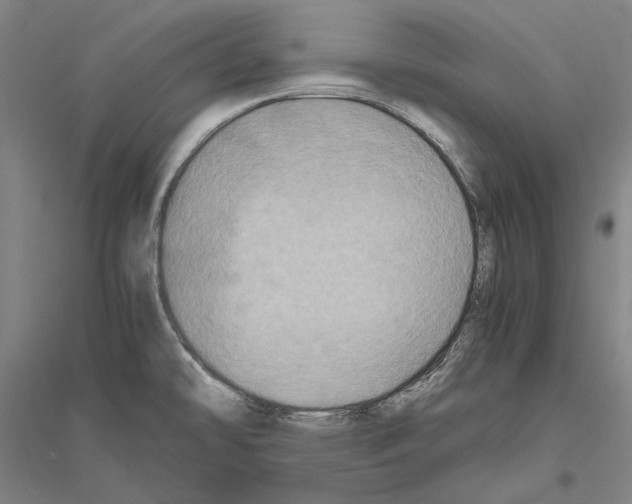 X0000116801478201001291529