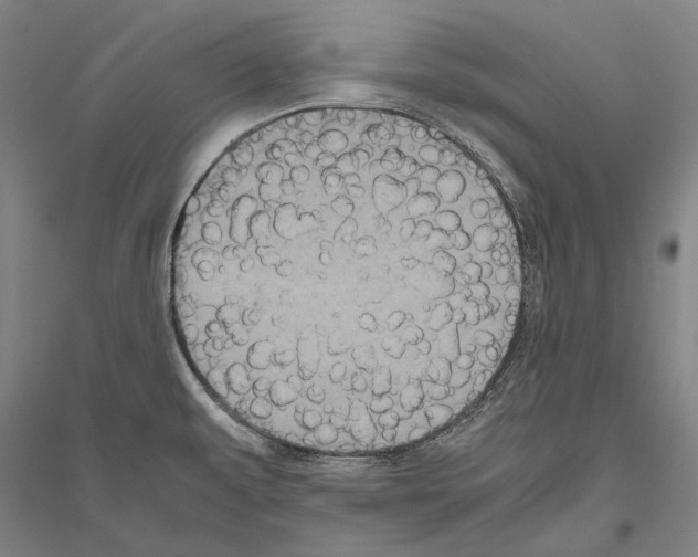 X0000116801479201001291529
