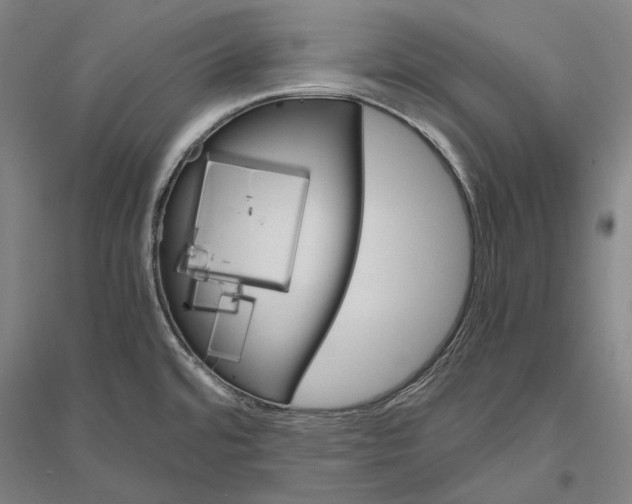 X0000116801480201001291529