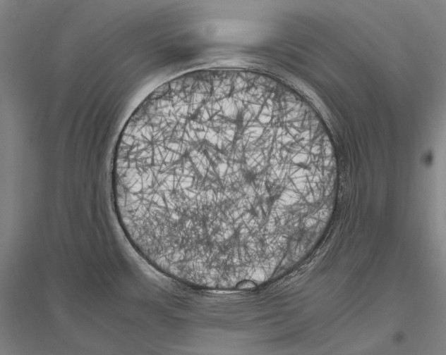 X0000116801483201001291529