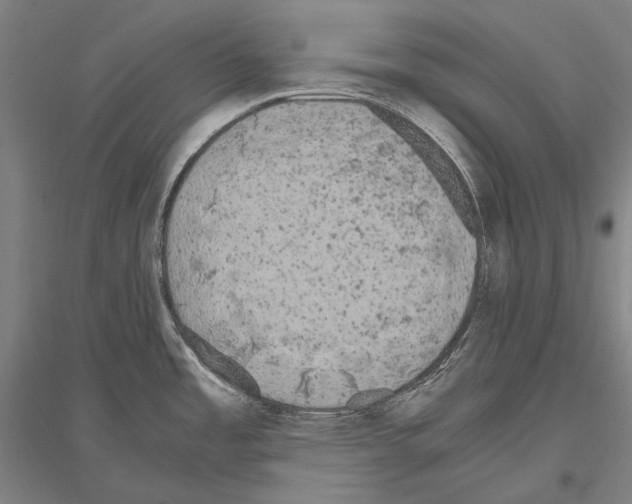 X0000116801485201001291529