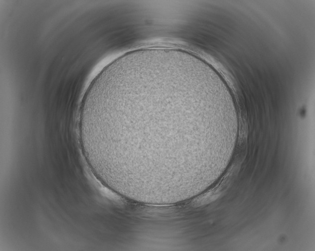 X0000116801486201001291529