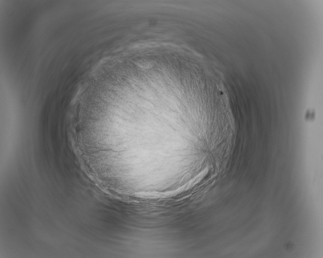 X0000116801489201001291529