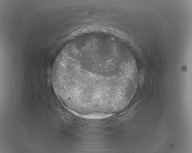 X0000116801490201001291529