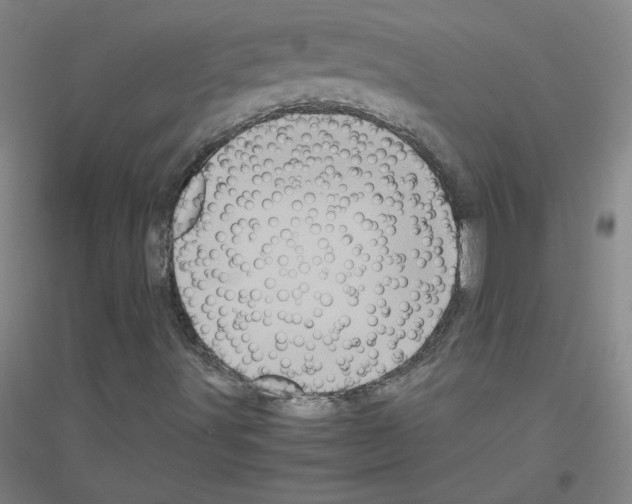 X0000116801491201001291529