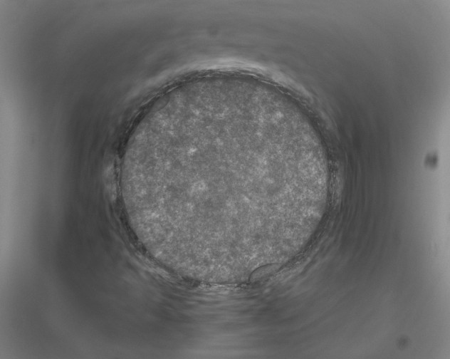 X0000116801493201001291529