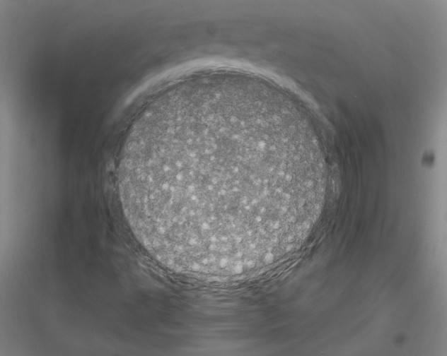 X0000116801495201001291529