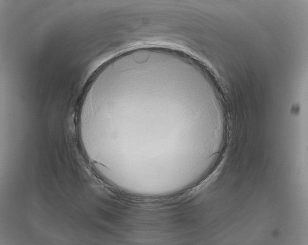 X0000116801497201001291529