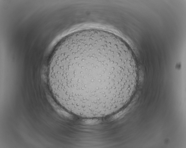 X0000116801499201001291529