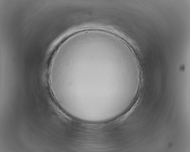 X0000116801502201001291529