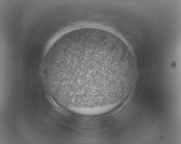 X0000116801503201001291529
