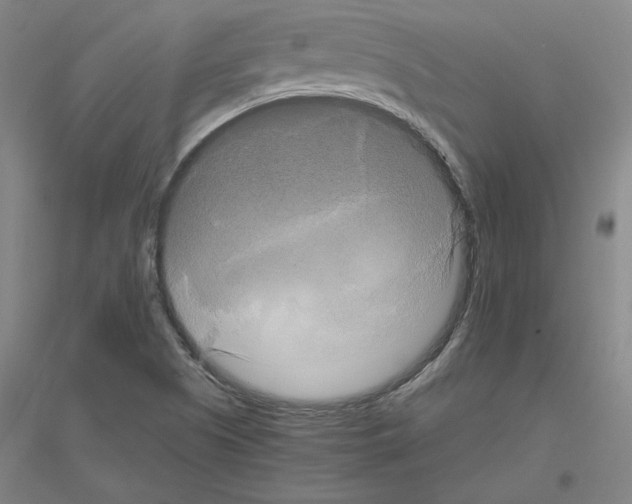 X0000116801505201001291529