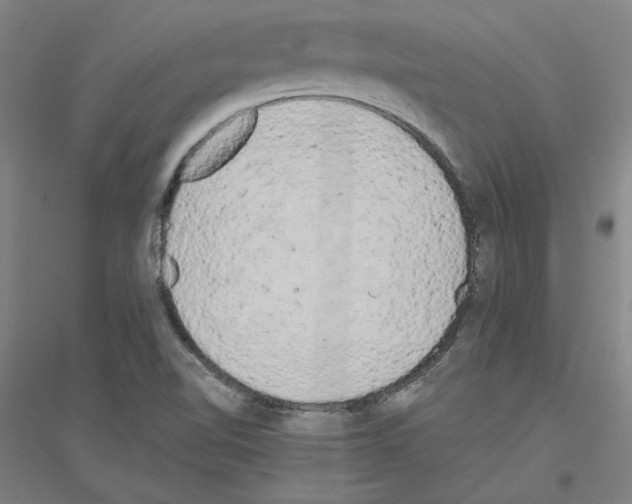 X0000116801510201001291529