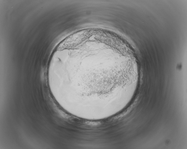 X0000116801513201001291529
