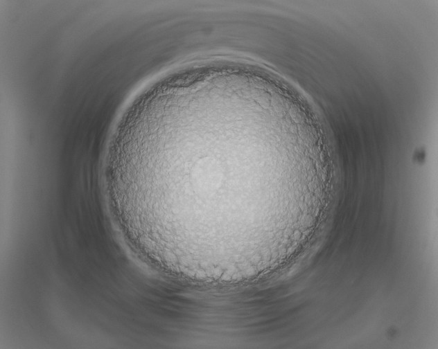 X0000116801514201001291529