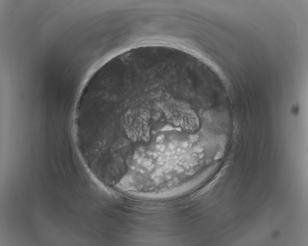 X0000116801517201001291529